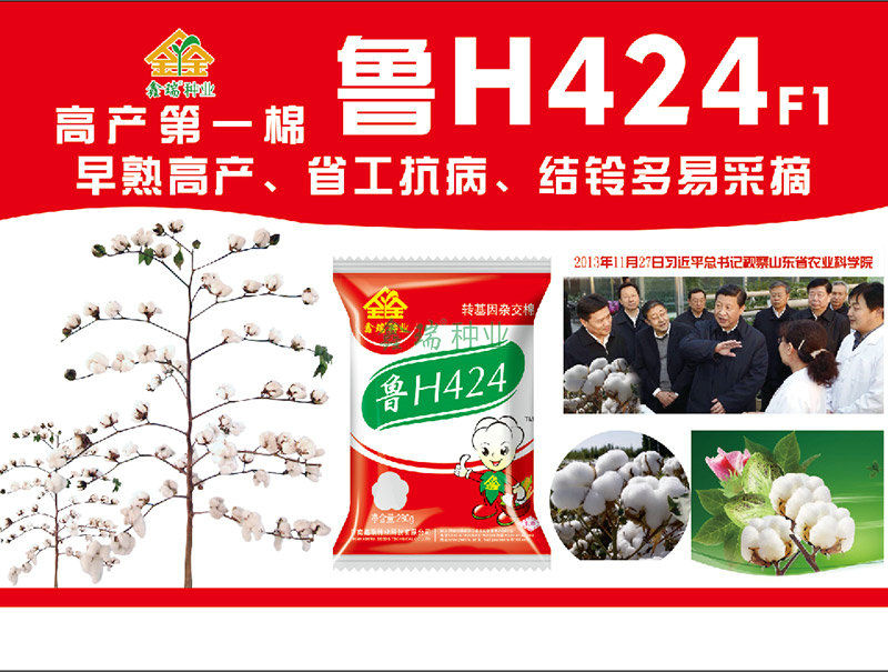 鲁H424
