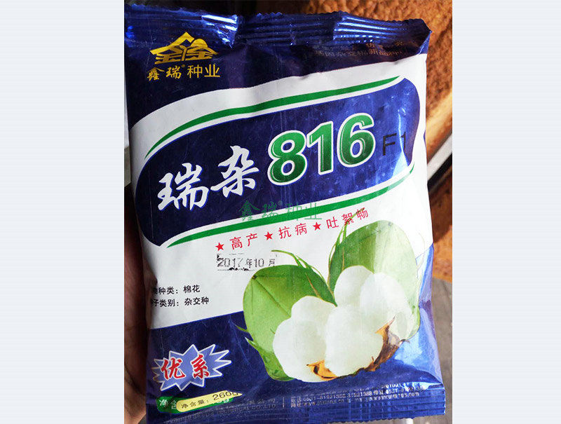 瑞杂8160