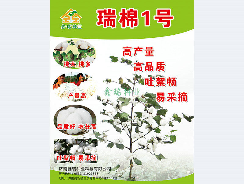 瑞棉1号正面