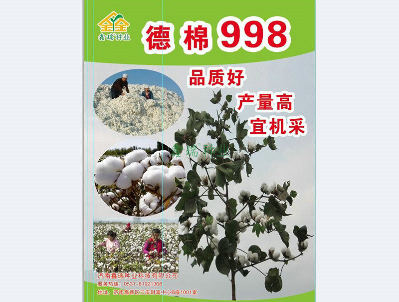 新疆德棉998单页正面