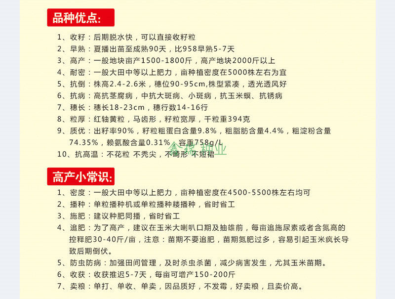 鑫瑞25