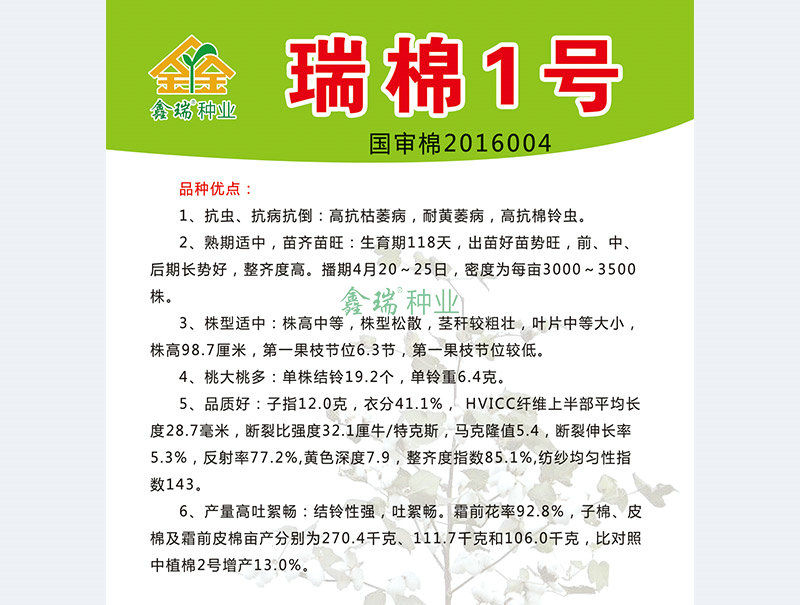 瑞棉1号反面