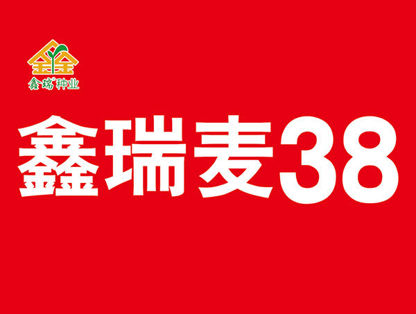 鑫瑞麦38产品包装袋